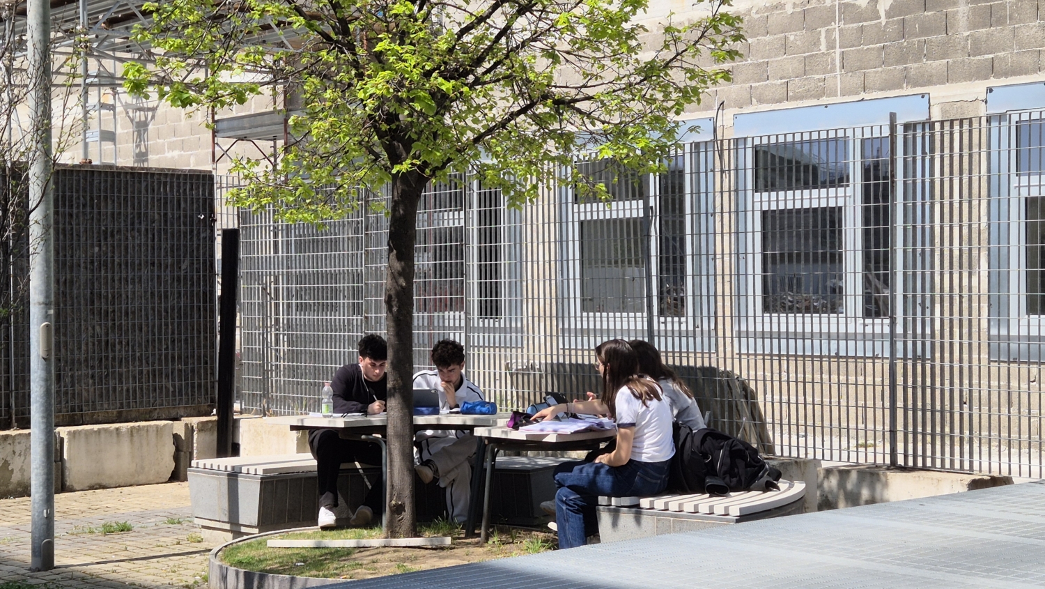 università studenti studio campus